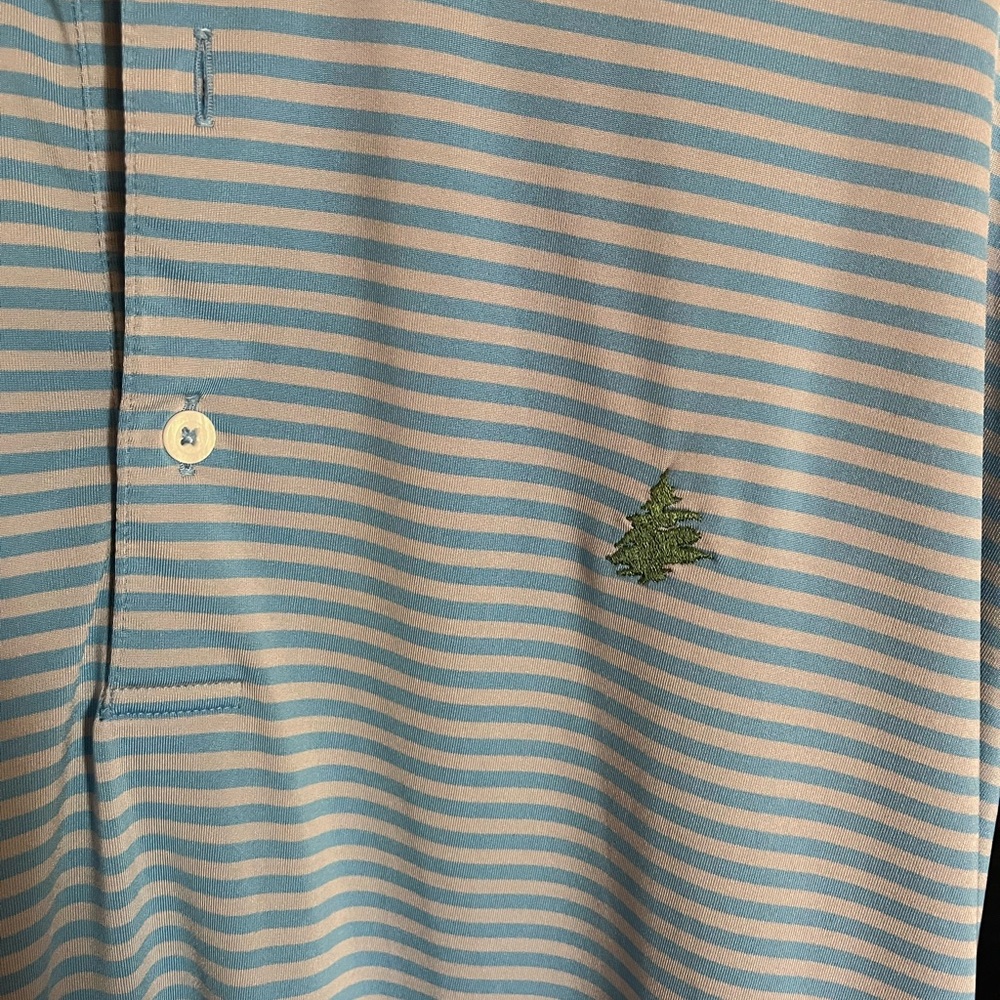 Fennec Golf Shirt XL blue and grey